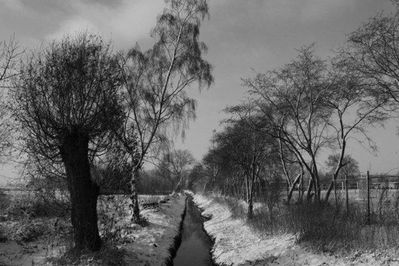 Rainer Deling - Winterliche Landschaft
