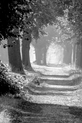 der_Weg~0.jpg