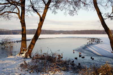 Ingrid Dierdorf - Winter am Krickenbecker See
