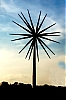 Dateiname=Windrad115D.jpg
Dateigröße=1331KB
Abmessungen: 1333x2000
hinzugefügt am: 18. Juli 2025 Windrad115D.jpg